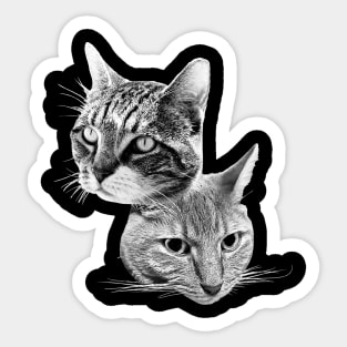 Cats Family Portrait Sticker